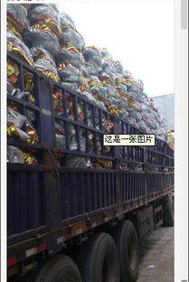 開封五金工具商行 一站式農具批發零售與五金產品研發的領航者