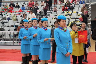 2014-2015年全國啦啦聯賽暨中國啦啦操之星爭霸賽淮南站圓滿落幕，我校禮儀服務展風采